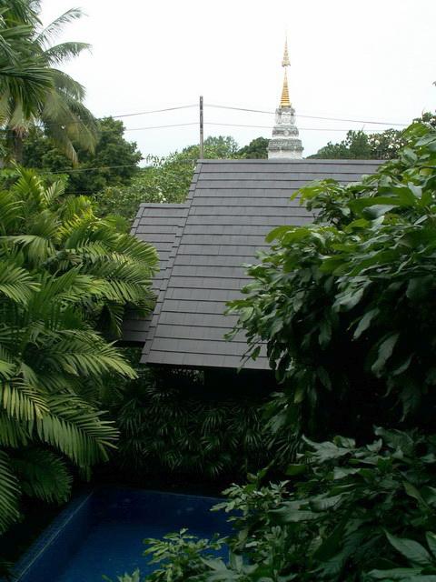 BKV073.jpg